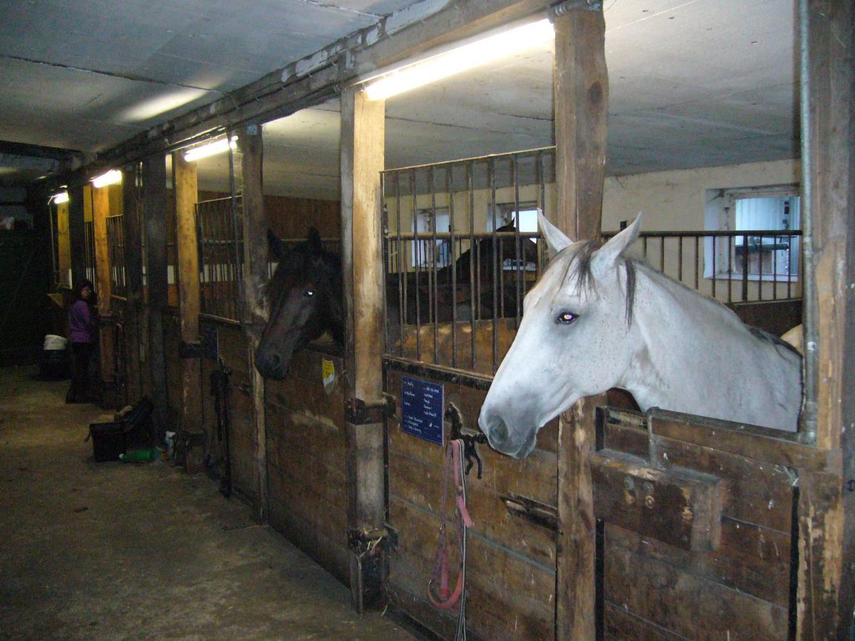 Ferienhof Drewes Ranch วิตเซนดอร์ฟ ภายนอก รูปภาพ