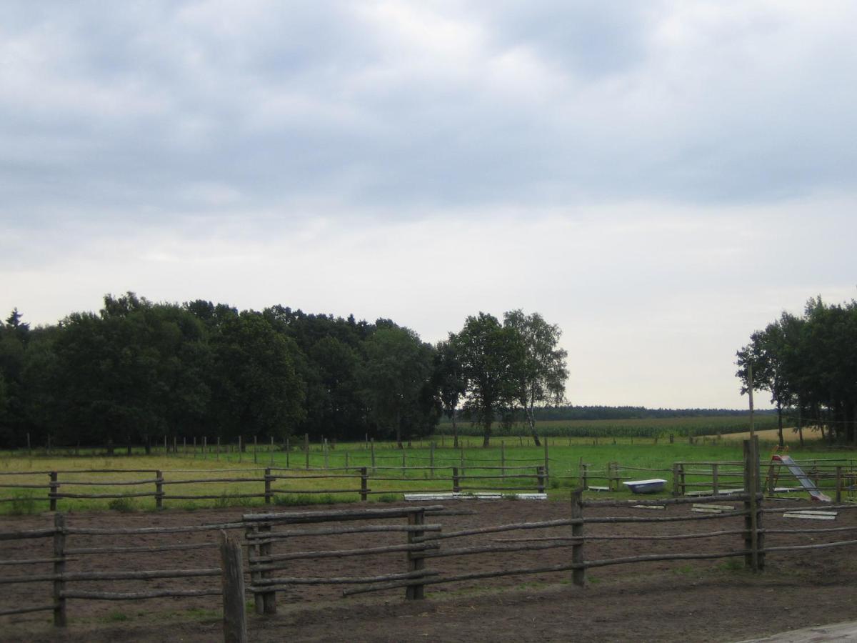 Ferienhof Drewes Ranch วิตเซนดอร์ฟ ภายนอก รูปภาพ