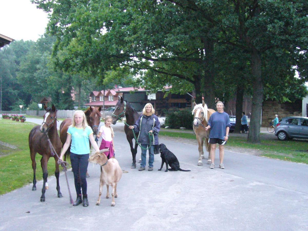 Ferienhof Drewes Ranch วิตเซนดอร์ฟ ภายนอก รูปภาพ