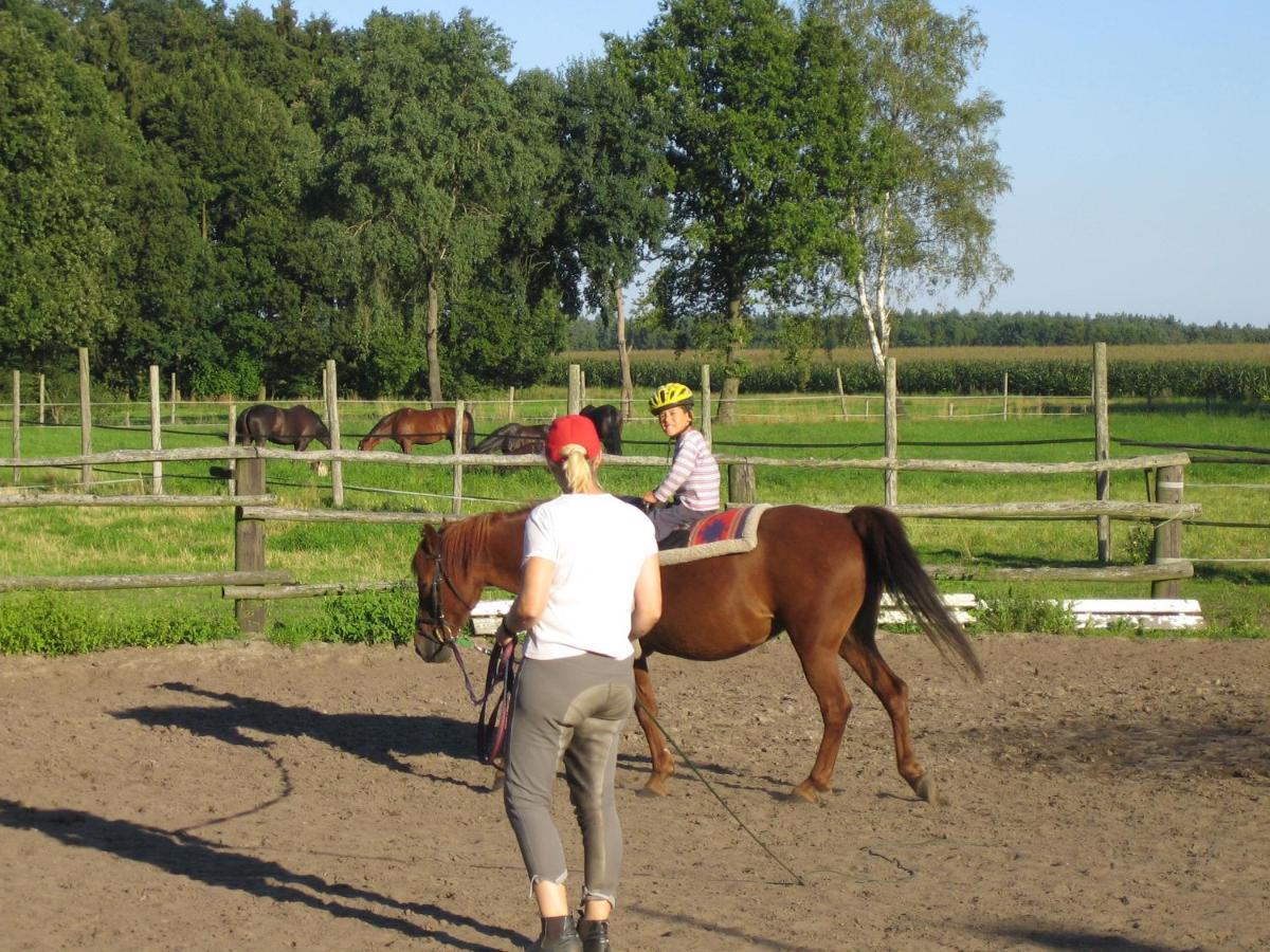 Ferienhof Drewes Ranch วิตเซนดอร์ฟ ภายนอก รูปภาพ